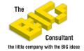 The BIG Consultant logo
