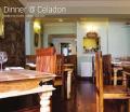 celadon thai restaurant image 2