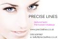 PRECISE LINES logo