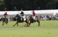 Glanusk Polo image 1