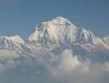 Nepal Trekking Holidays logo