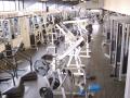 Monster Gym image 5