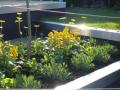CSM Garden Design image 4