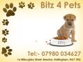 Bitz 4 Pets logo