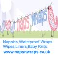Naps N Wraps logo