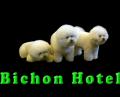 bichon hotel logo