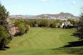 Murrayfield Golf Club Ltd image 4