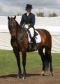 Gemsbrook Dressage image 1