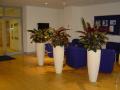 Green Team Interiors Ltd for decorated Christmas trees for offices image 6