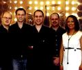 evolver - function band, wedding band, party band; pro live music for your event image 1