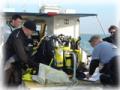 Wight Diver image 3