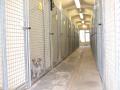 Carr Moss Kennels image 3