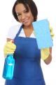 Cleaners London & Cleaning Company & Domestic Cleaning London logo