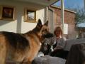 Cumbria Pet Care. Pet Sitting. Dog Boarding. Dog Walking. Dog Day Care image 3
