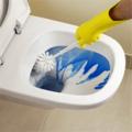 Wilson-Ash Cleaning Services image 4