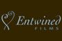 Entwined Films - Contemporary Wedding Films image 10