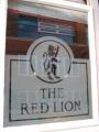 The Red Lion image 6