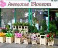 Awesome Blossom image 1