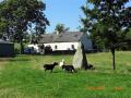 Anglesey Heritage Cottages image 1