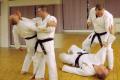Sevenoaks Shohei-Ryu Karate Club image 1
