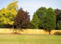 Wealden Landscape Designs image 9
