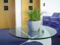 Green Team Interiors Ltd for decorated Christmas trees for offices image 2