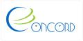 Concord IT Services Limited logo