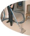 Calmore Carpet Cleaning image 2