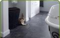 Carpet & Flooring Retailer/ Contractor image 4