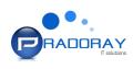 Pradoray Ltd logo