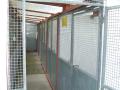 Carr Moss Kennels image 4