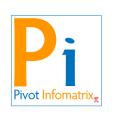 Pivot Infomatrix Limited logo
