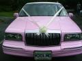 Pretty in Pink Limousines image 7