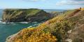 Tintagel Castle image 5