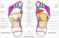 Soothing Steps Reflexology image 2