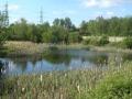 WaterWorks Nature Reserve and Golf Centre image 1