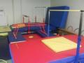 Gym Mania Gymnastics image 3