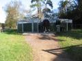 Thundry Farm Livery & Training Yard image 4