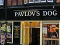 Pavlovs Dog image 4