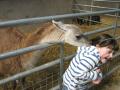 Thornton Hall Farm Country Park image 3