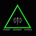 Street Combat System image 1