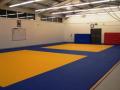 Redbridge Judo Club image 1