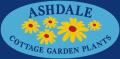 Ashdale Nursery image 1