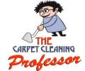 The Carpet Cleaning Professor logo