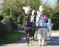 Alva Evans Horsedrawn Carriages logo