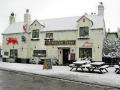 The Red Lion image 1