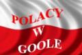 Polacy w Goole - Polish Community website logo
