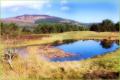 Golspie Golf Club image 2