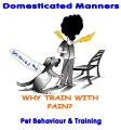 Domesticated Manners Puppy / Dog Training and Behaviour image 2