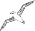 Woking Surrey Albatross Carpentry logo